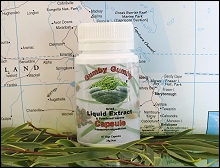 Gumby Gumby Liquid Extract / Powdered Leaves Capsule
